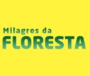 MILAGRES DA FLORESTA